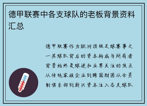 德甲联赛中各支球队的老板背景资料汇总